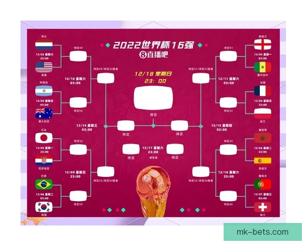 世界杯赛事买球预测策略与数据分析提升胜率全面指南实战经验分享