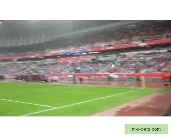 哈曼世界杯前最后一战后严批德国足协管理失误