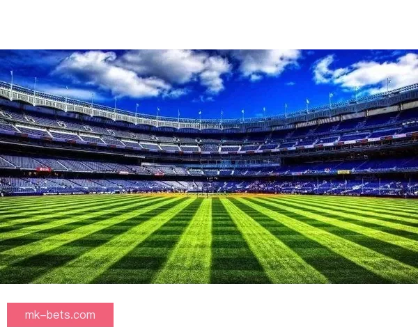 世界杯赛事买球预测策略与数据分析提升胜率全面指南实战经验分享