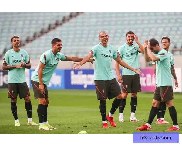 聚焦世界杯各队实力对比与备战策略分析，揭示冠军争夺的关键因素