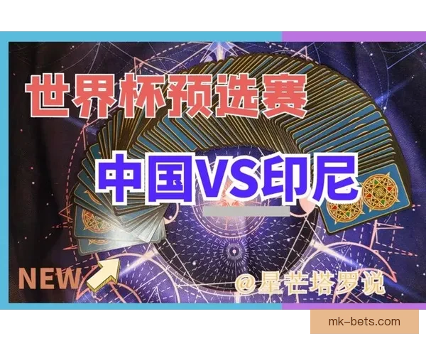 世界杯赛事深度解析与专业体育竞猜趋势全攻略